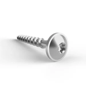 Schletter screws 8x80 VA washer head, Torx, timber — view 1