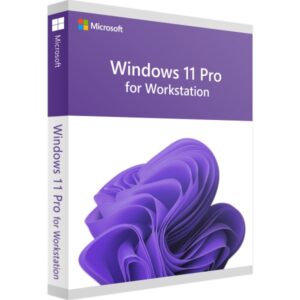 Windows 11 Pro for Workstation – Microsoft Windows Produktbild